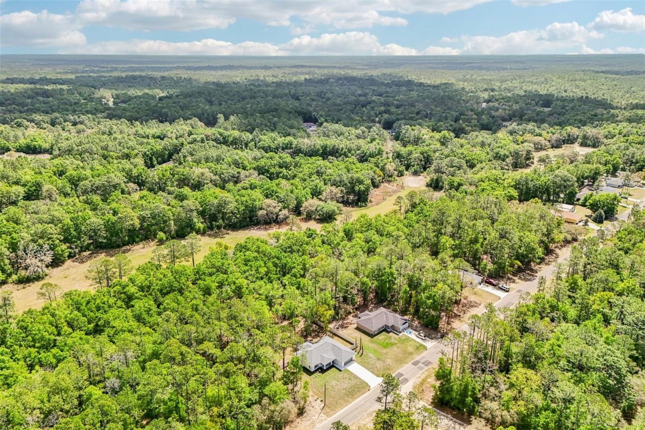 9845 N Sherman Drive , Citrus Springs, FL 34434 Photo