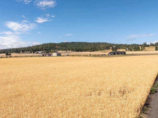 24XXX N Spotted Rd, Deer Park, WA 99006