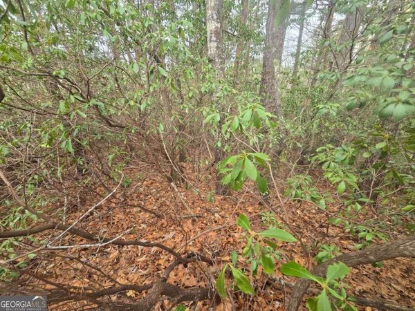 35 Vienna Ring, Helen, GA 30545