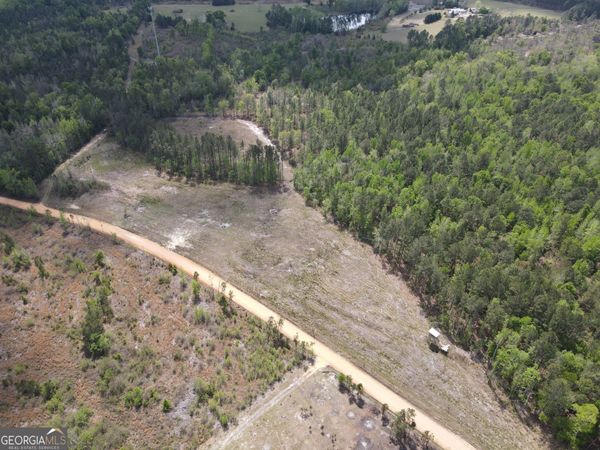 0 Old Dellwood Road, Swainsboro, GA 30401