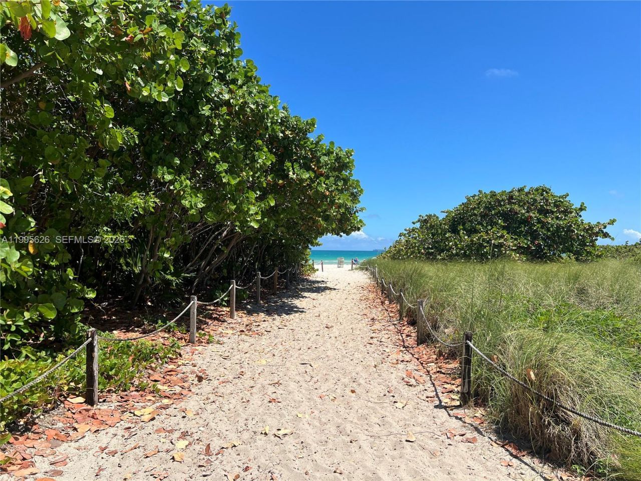 330 74th St, Unit 5, Miami Beach, FL 33141 Photo