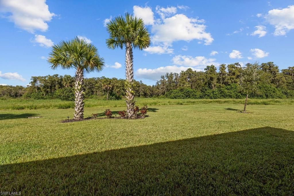 5931 Mayflower Way, Ave Maria, FL 34142 Photo