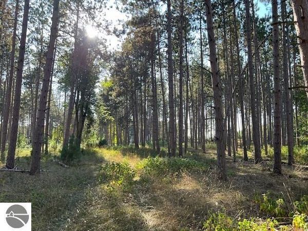 Samels Road, Williamsburg, MI 49690