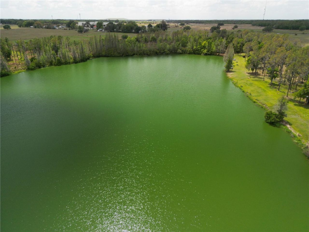 Tbd Timbers Drive, Fort Meade, FL 33841 Photo