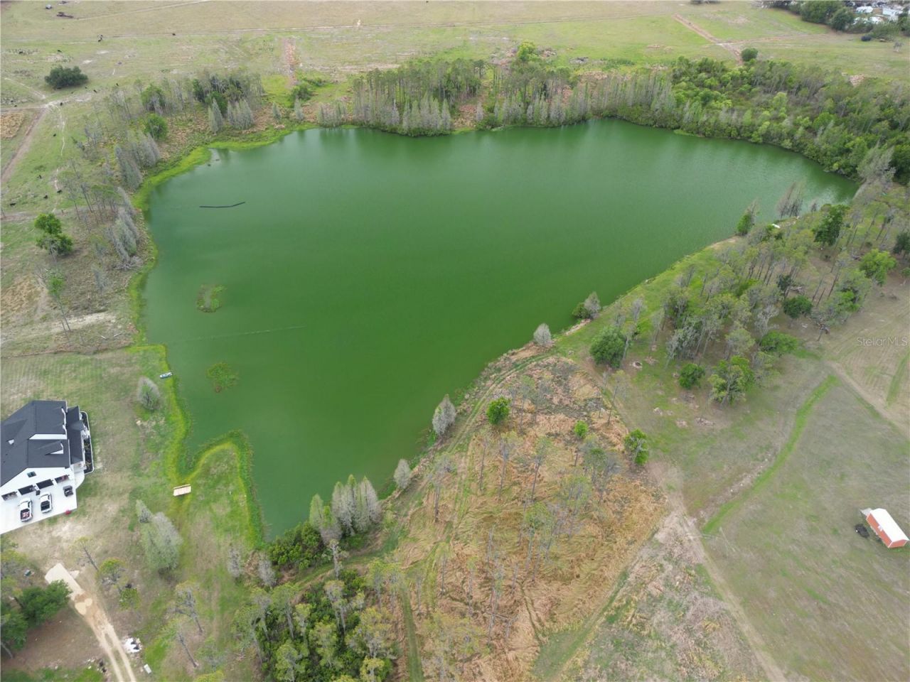 Tbd Timbers Drive, Fort Meade, FL 33841 Photo