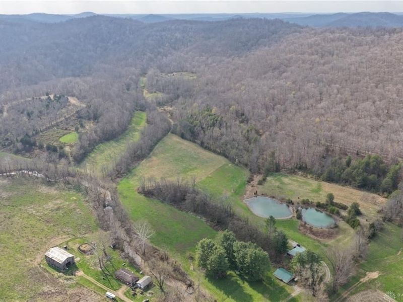 7583 Blue Creek Road, Blue Creek, OH 45684 Photo 2