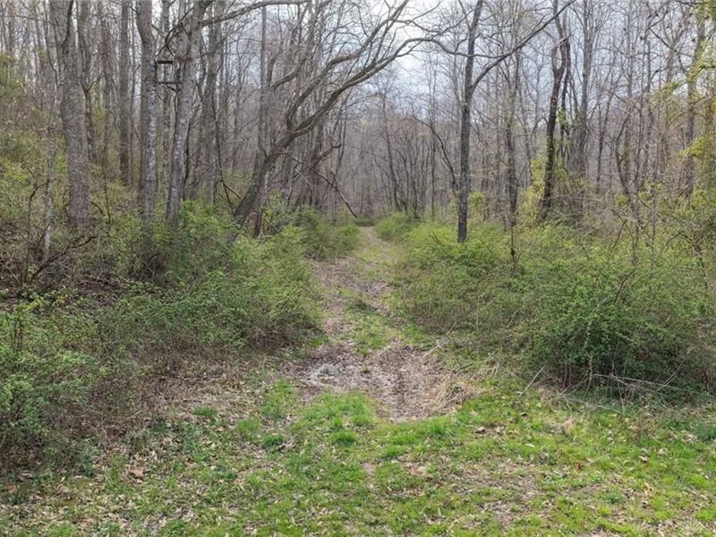 7583 Blue Creek Road, Blue Creek, OH 45684 Photo 33