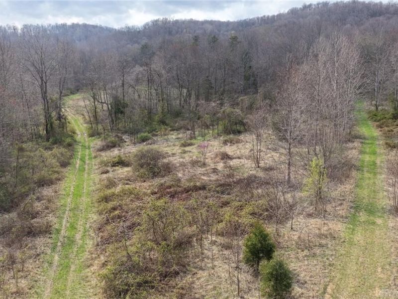 7583 Blue Creek Road, Blue Creek, OH 45684 Photo 37