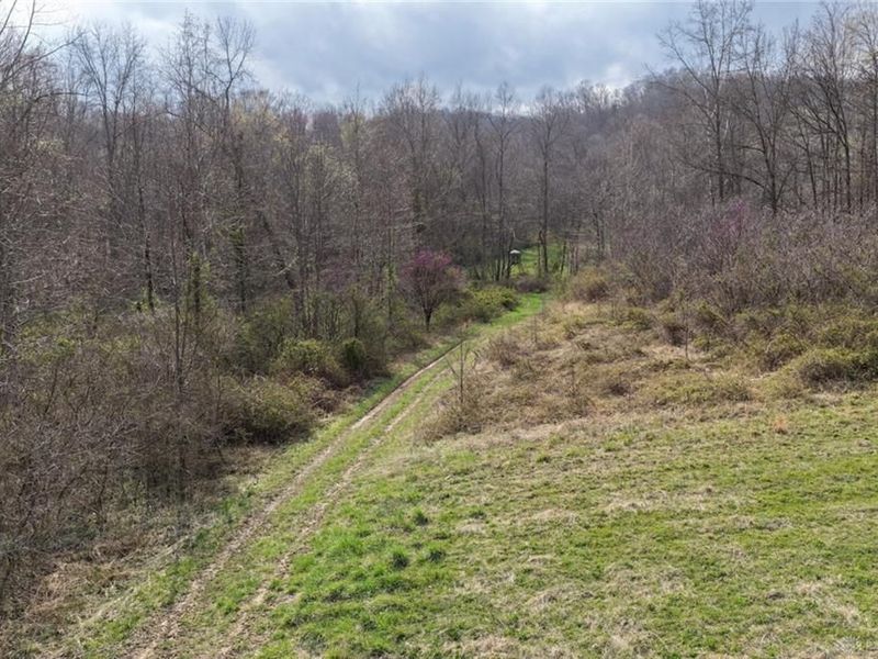 7583 Blue Creek Road, Blue Creek, OH 45684 Photo 39