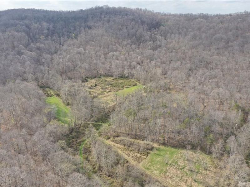 7583 Blue Creek Road, Blue Creek, OH 45684 Photo 46