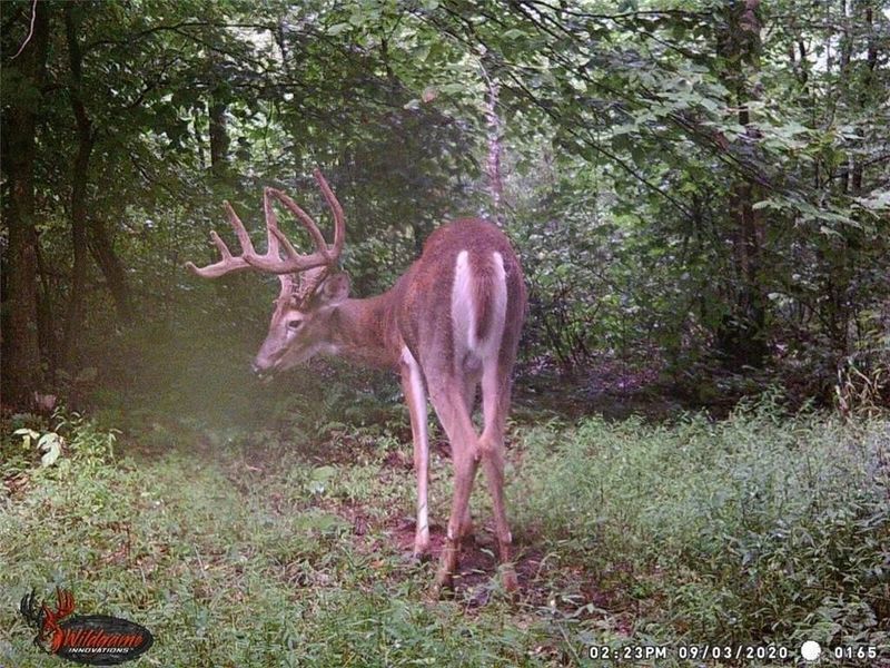 7583 Blue Creek Road, Blue Creek, OH 45684 Photo 53