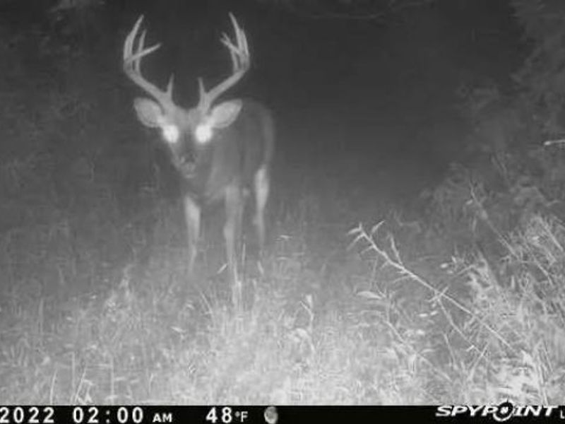 7583 Blue Creek Road, Blue Creek, OH 45684 Photo 54