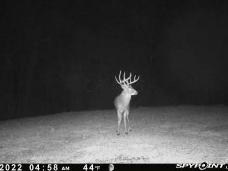 7583 Blue Creek Road, Blue Creek, OH 45684 Photo 55