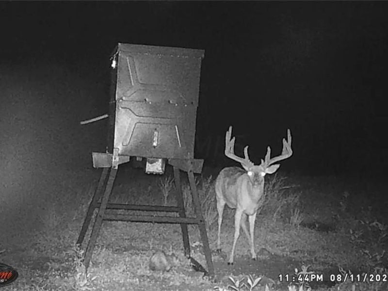 7583 Blue Creek Road, Blue Creek, OH 45684 Photo 56