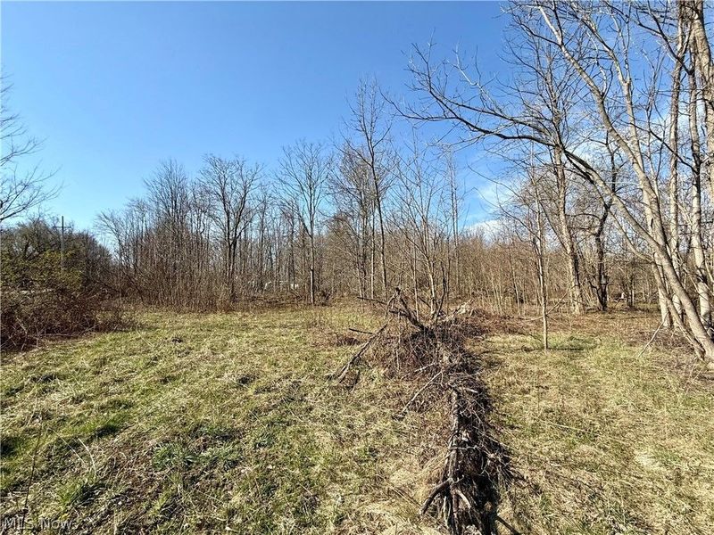 515 Middle Road, Conneaut, OH 44030 Photo 12