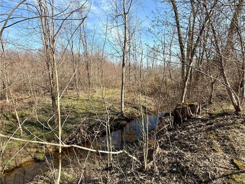 515 Middle Road, Conneaut, OH 44030 Photo 7