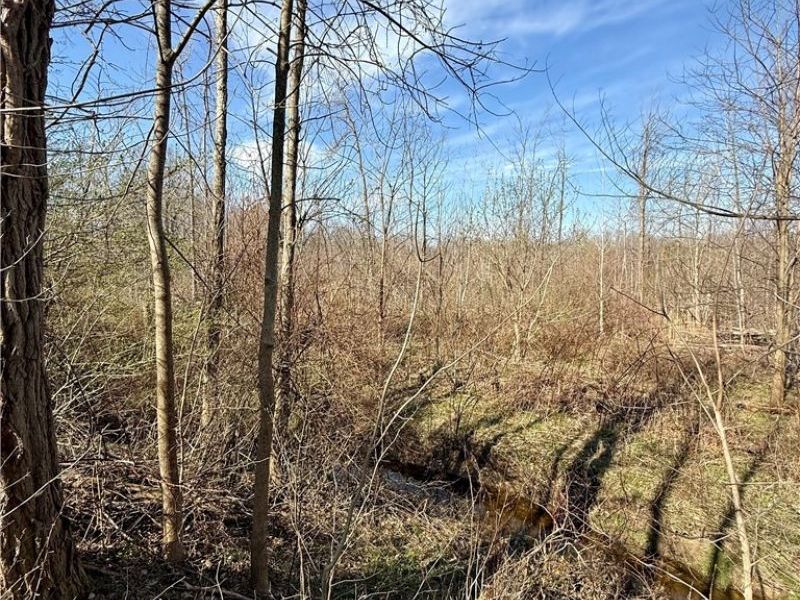 515 Middle Road, Conneaut, OH 44030 Photo 9