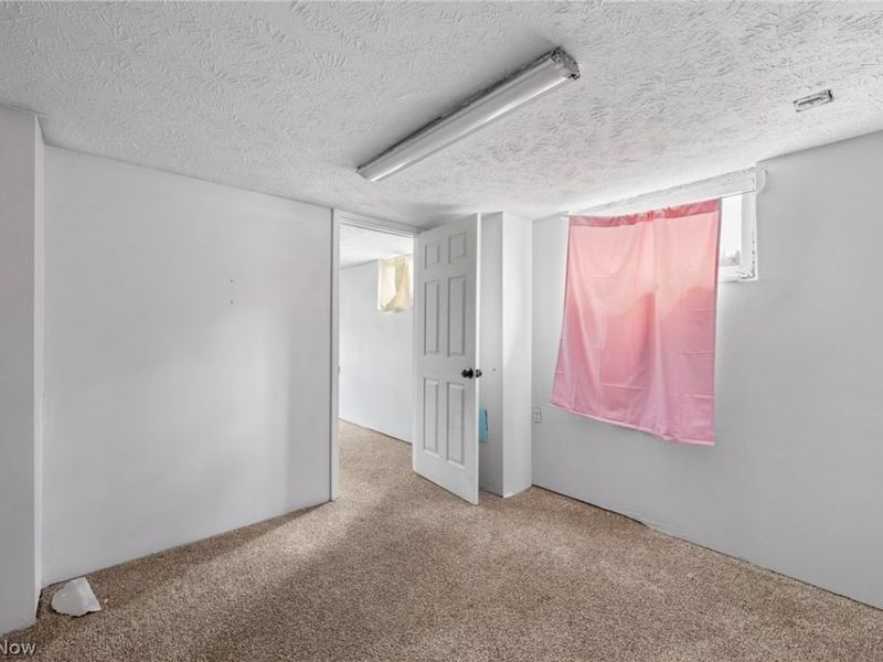 21 Urban Street, Painesville, OH 44077 Photo 32