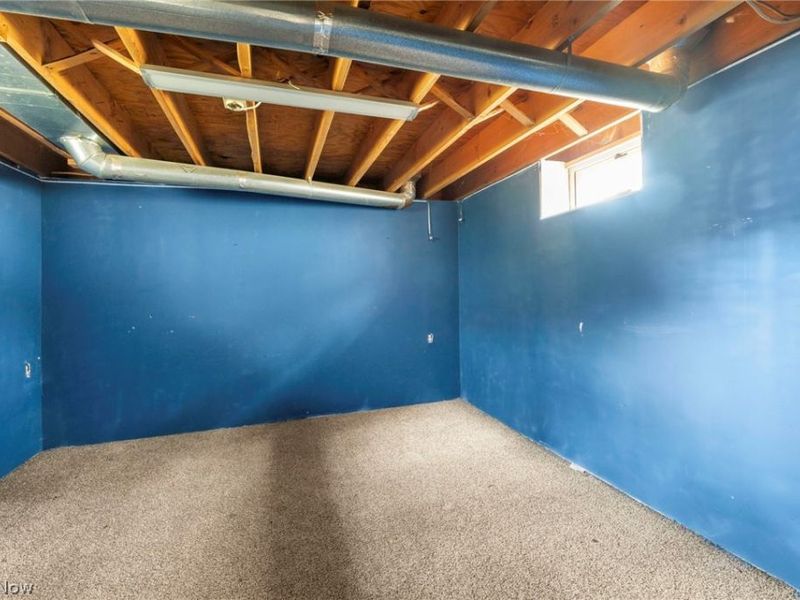 21 Urban Street, Painesville, OH 44077 Photo 34