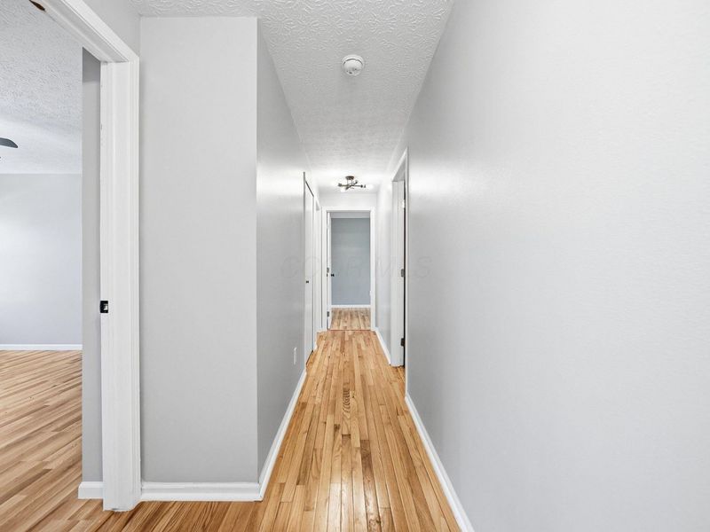 24646 Woltz Road, Rockbridge, OH 43149 Photo 31