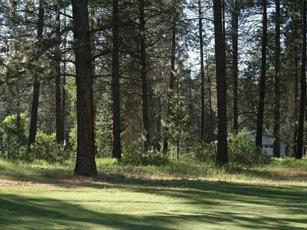 205 Eagle Dr, Chewelah, WA 99109