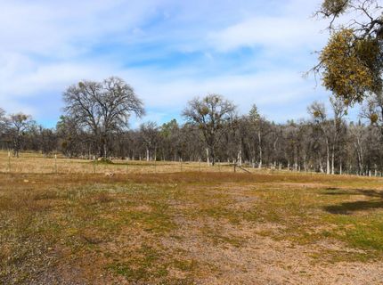 5857 Schilling, Coulterville, CA 95311 Photo