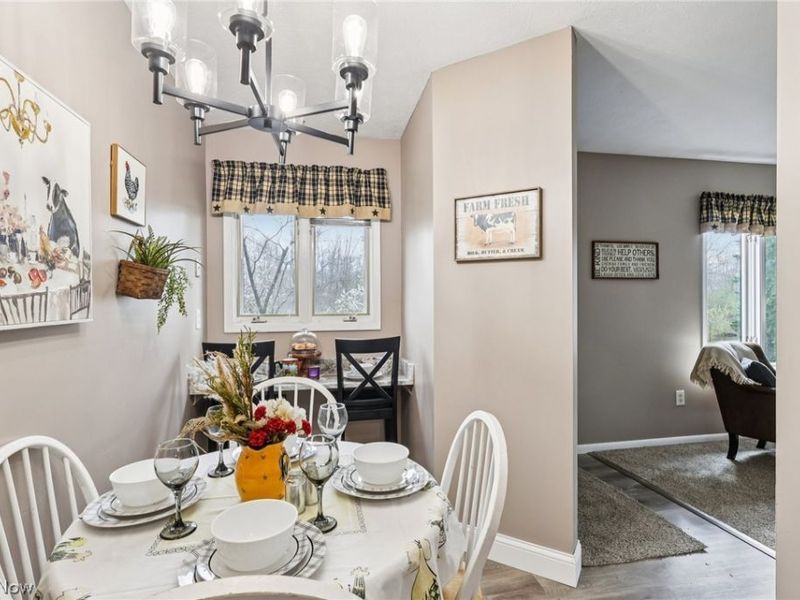 7073 Village Drive, Concord Township, OH 44060 Photo 10