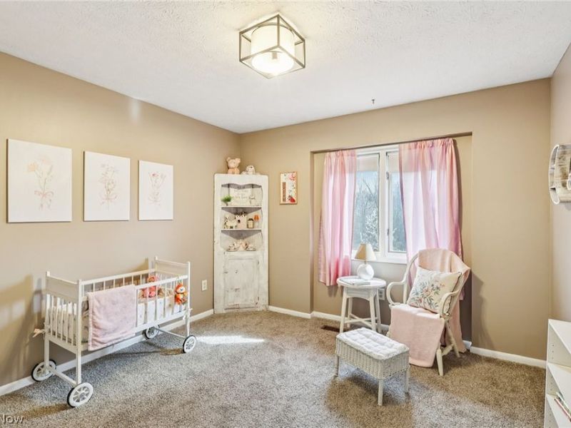 7073 Village Drive, Concord Township, OH 44060 Photo 23