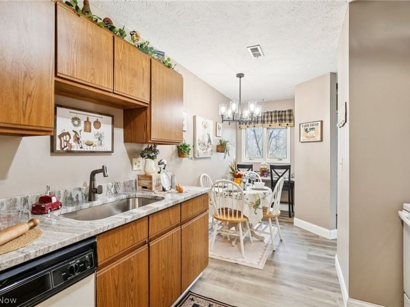 7073 Village Drive, Concord Township, OH 44060 Photo 7