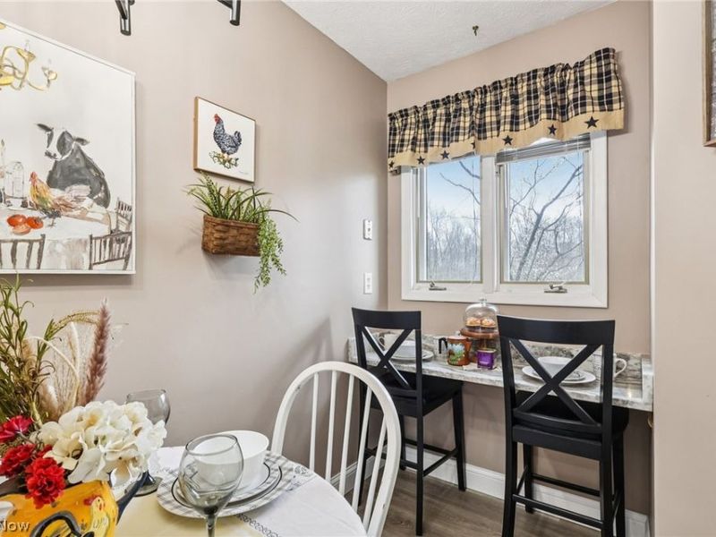 7073 Village Drive, Concord Township, OH 44060 Photo 9