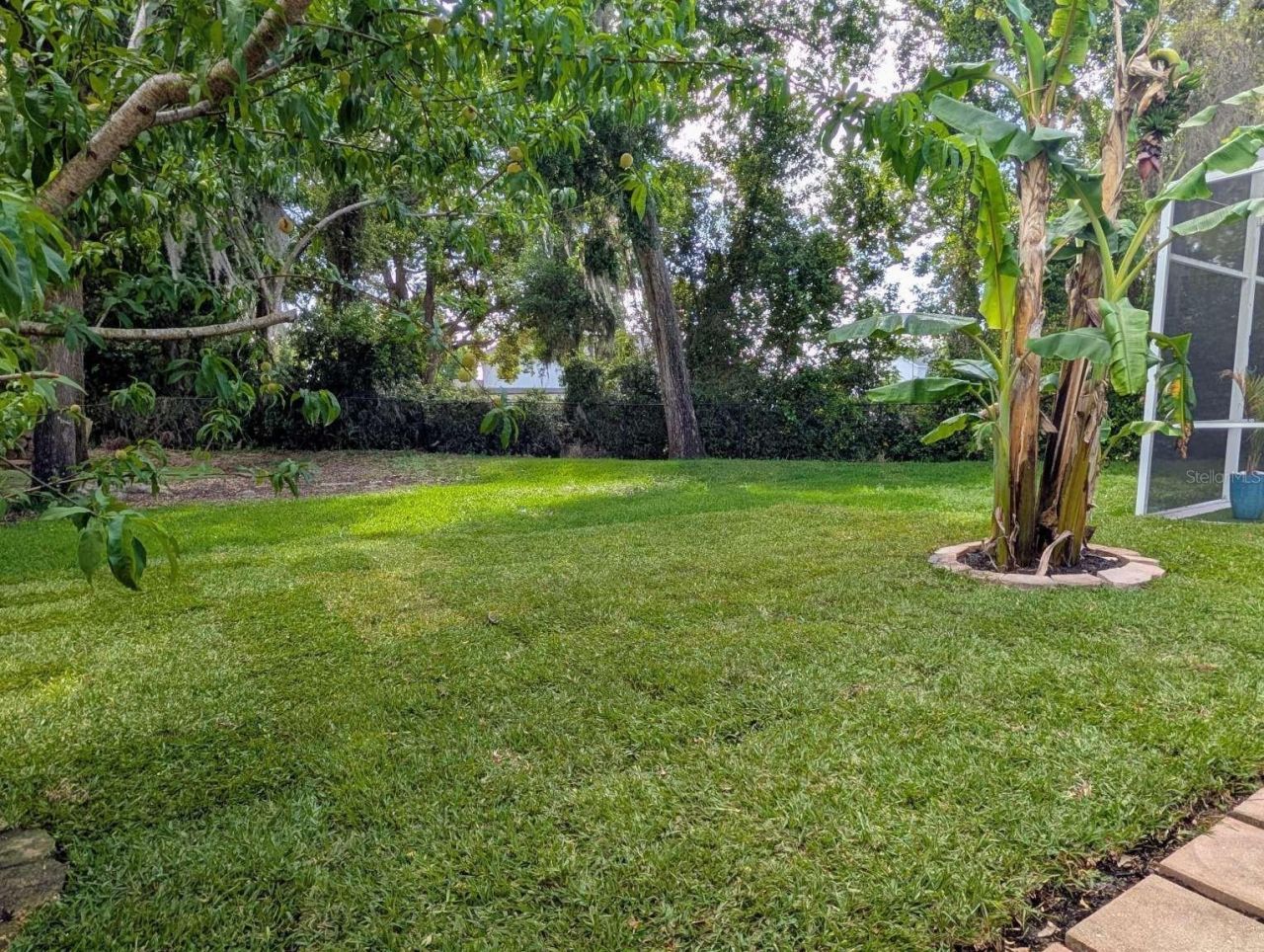 556 Summerwood Drive, Minneola, FL 34715 Photo