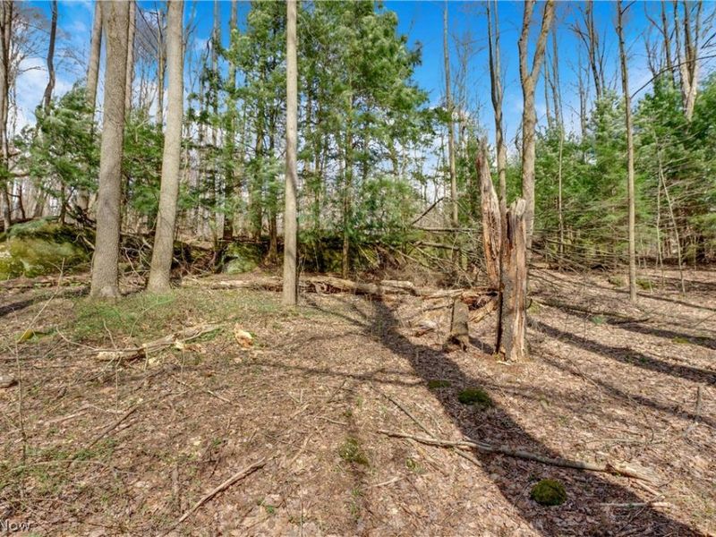 10340 Wye Road, Chesterland, OH 44026 Photo 35