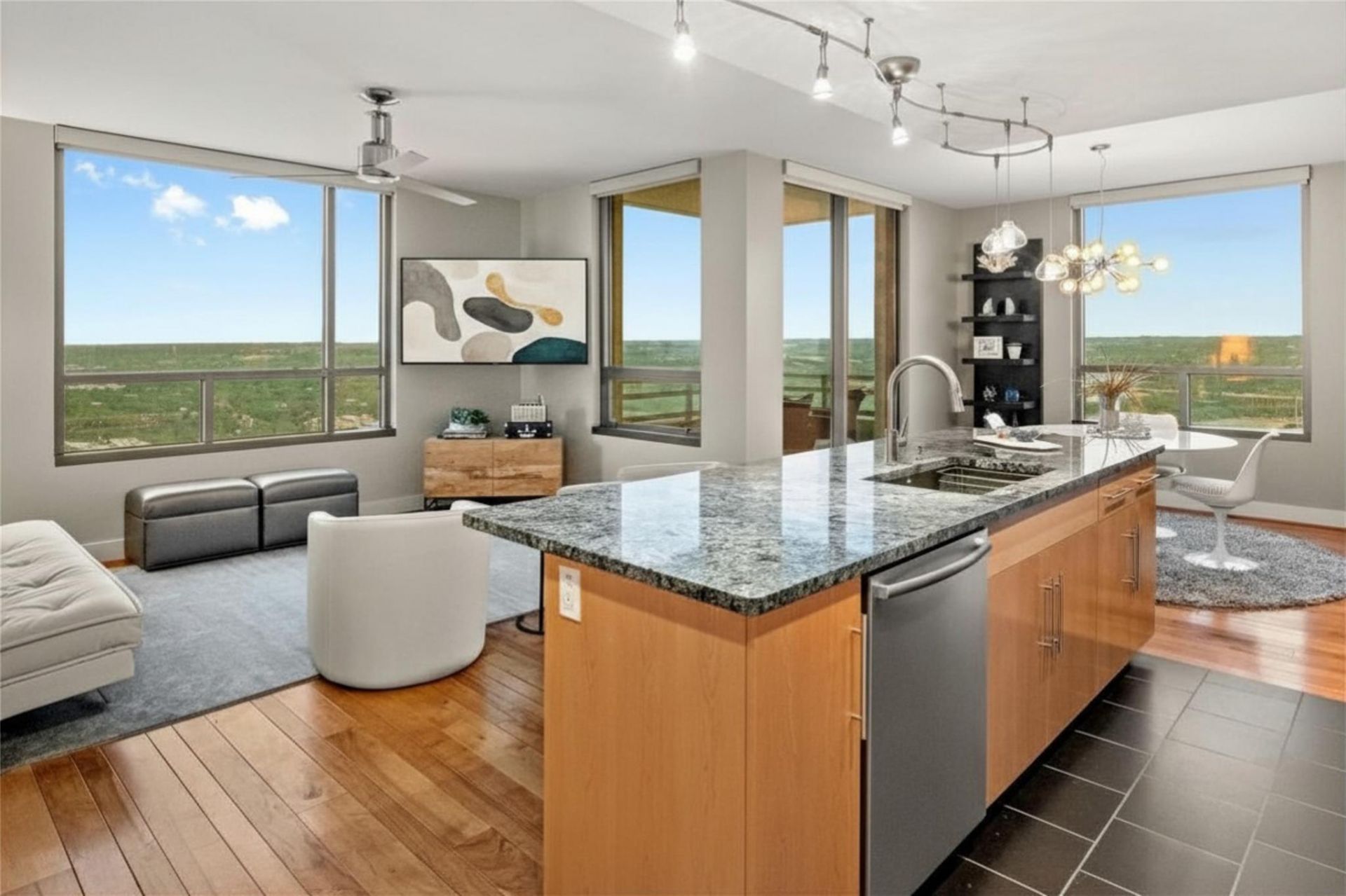 300 Bowie St, Unit 3603, Austin, TX 78703 Main Photo