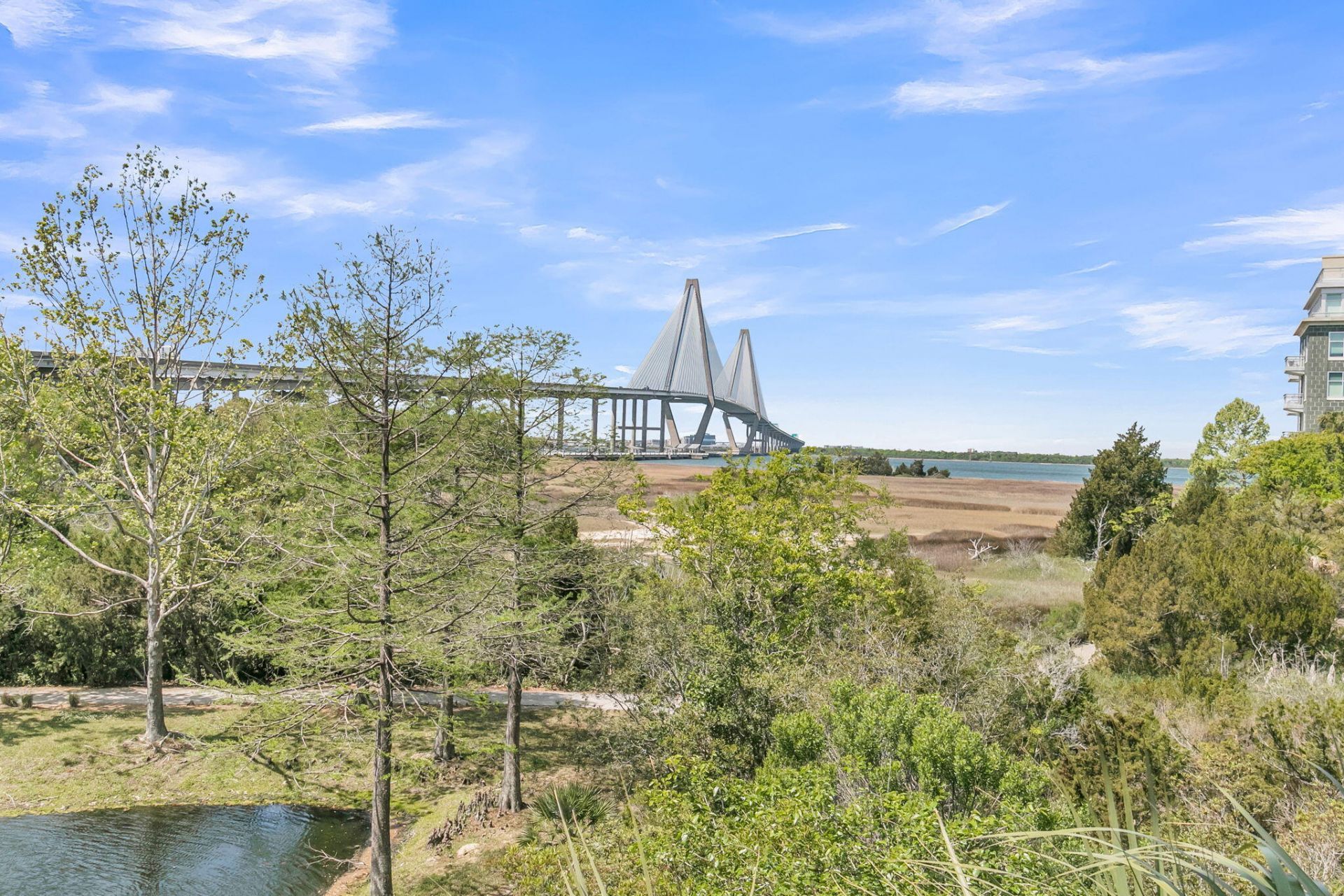 221 Cooper River Drive Photo 44