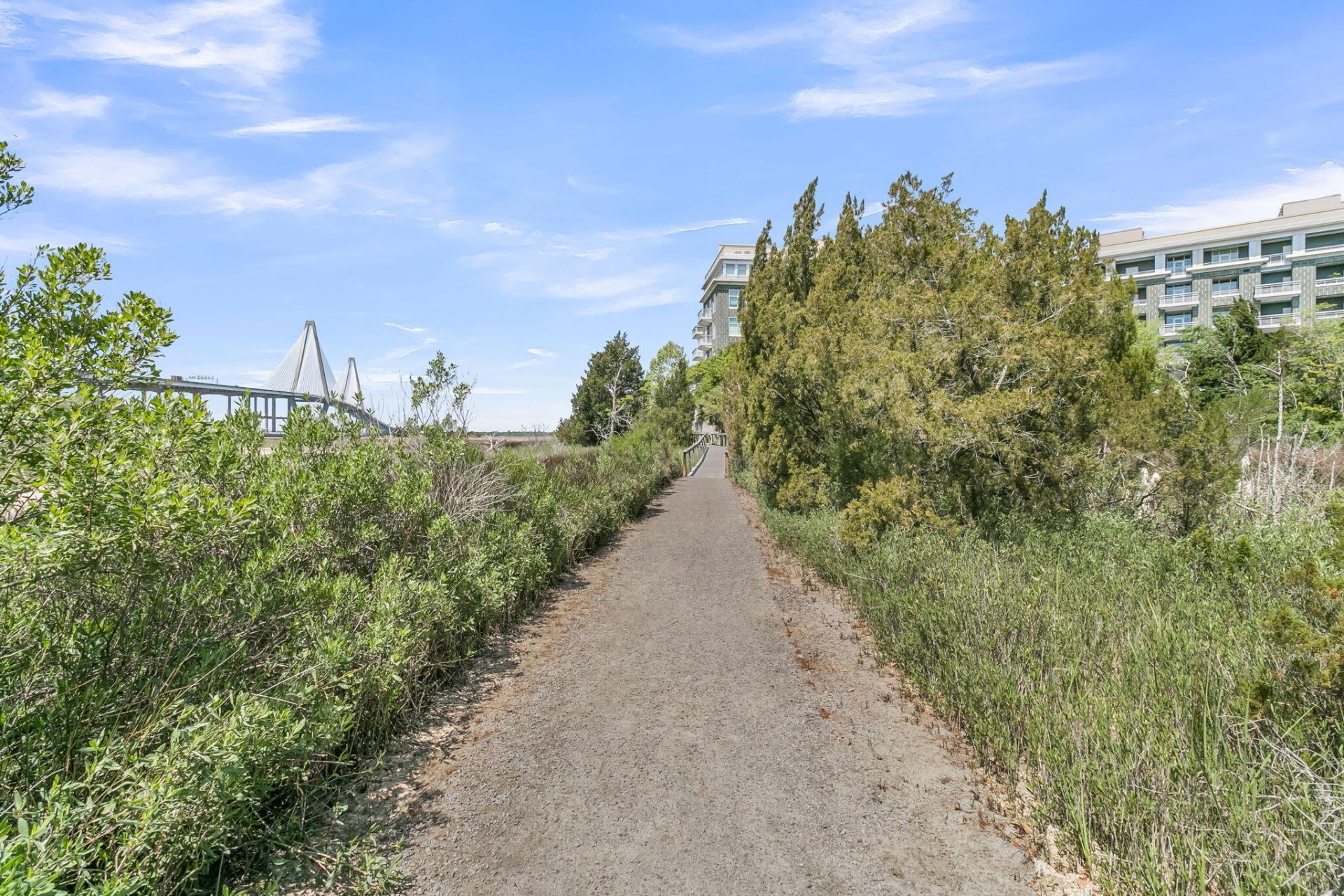 221 Cooper River Drive Photo 49