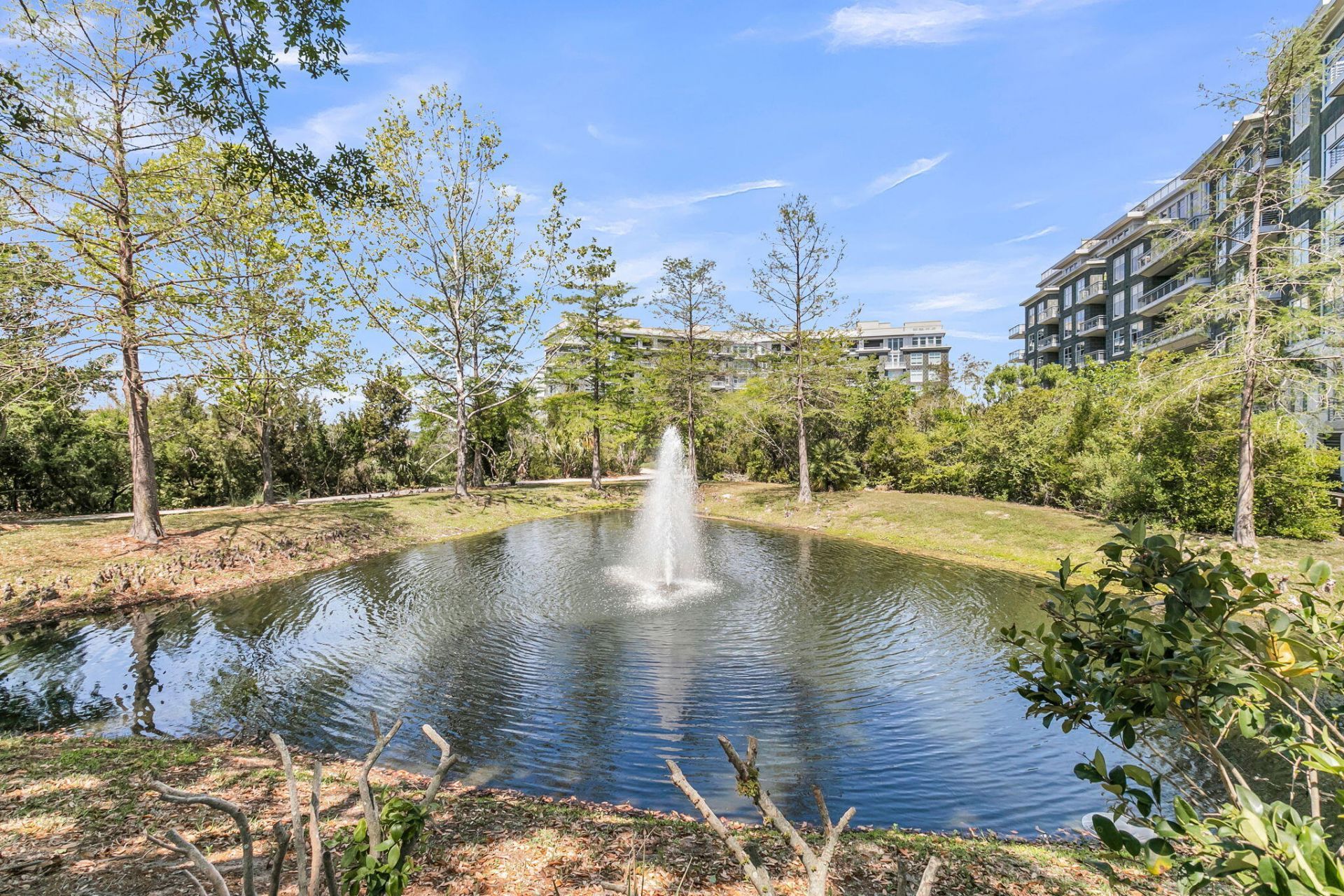 221 Cooper River Drive Photo 50