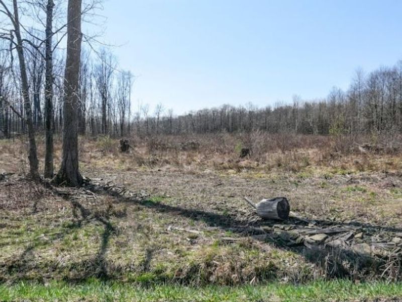 VL 09-101705 Warren Meadville, Kinsman, OH 44428 Photo 2