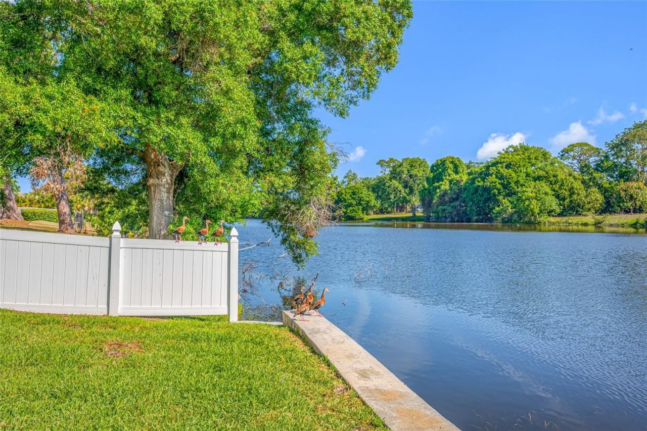 2515 Desoto Way S, Saint Petersburg, FL 33712 Photo