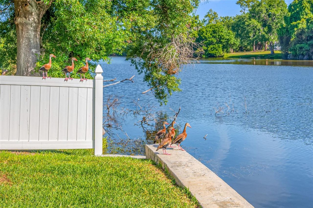 2515 Desoto Way S, Saint Petersburg, FL 33712 Photo