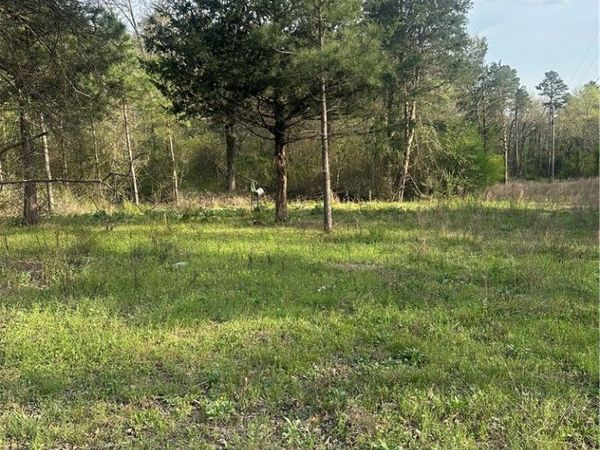 000 CR 3161 , Clarksville, AR 72830