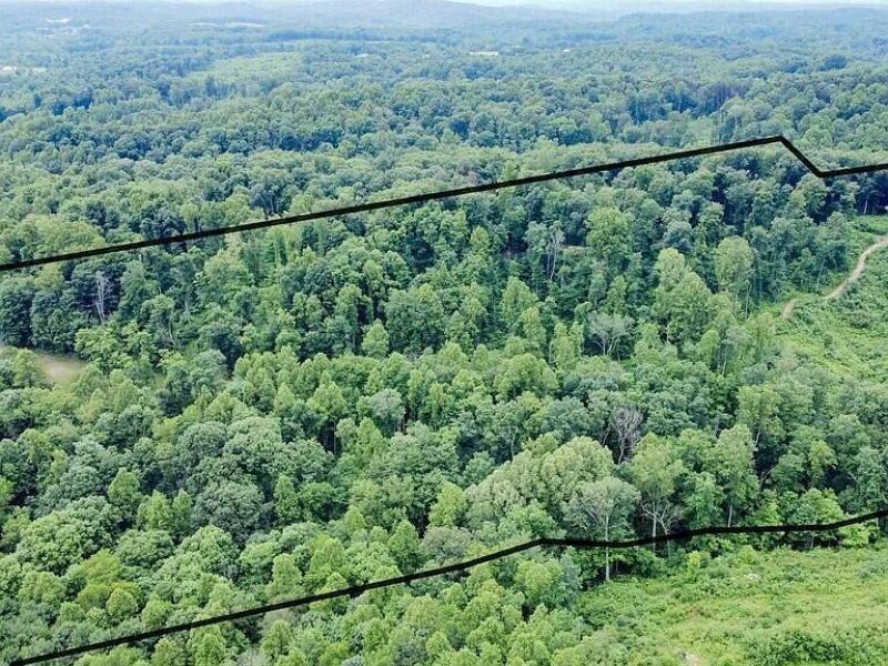 38581 Maysville Greendale Road, Logan, OH 43138 Photo 3