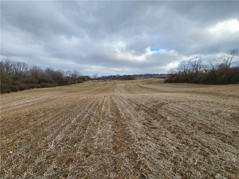 Tract 3 Middle Urbana Rd, Urbana, OH 43078 Photo 3
