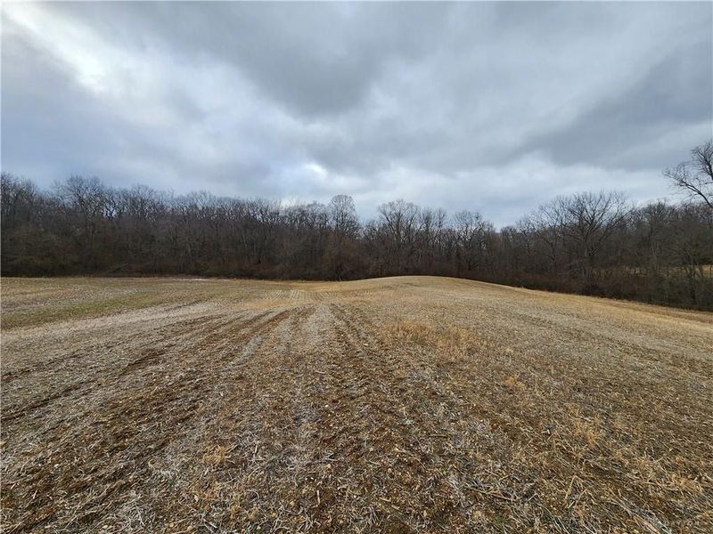 Tract 3 Middle Urbana Rd, Urbana, OH 43078 Photo 4