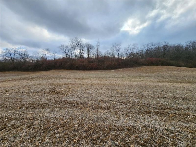 Tract 3 Middle Urbana Rd, Urbana, OH 43078 Photo 5