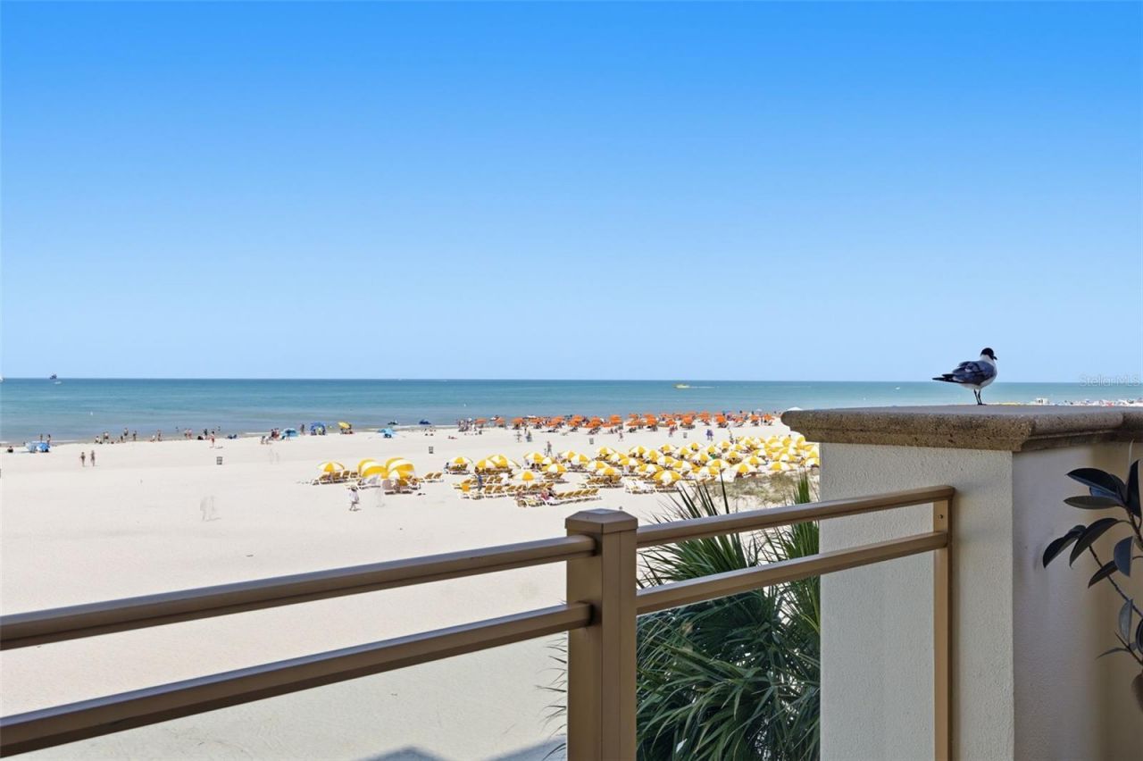 11 Baymont Street, Unit 302, Clearwater, FL 33767 Photo