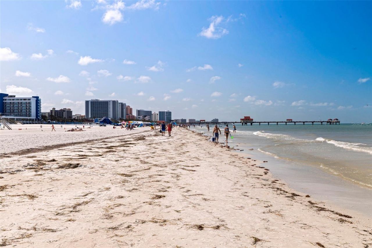 11 Baymont Street, Unit 302, Clearwater, FL 33767 Photo