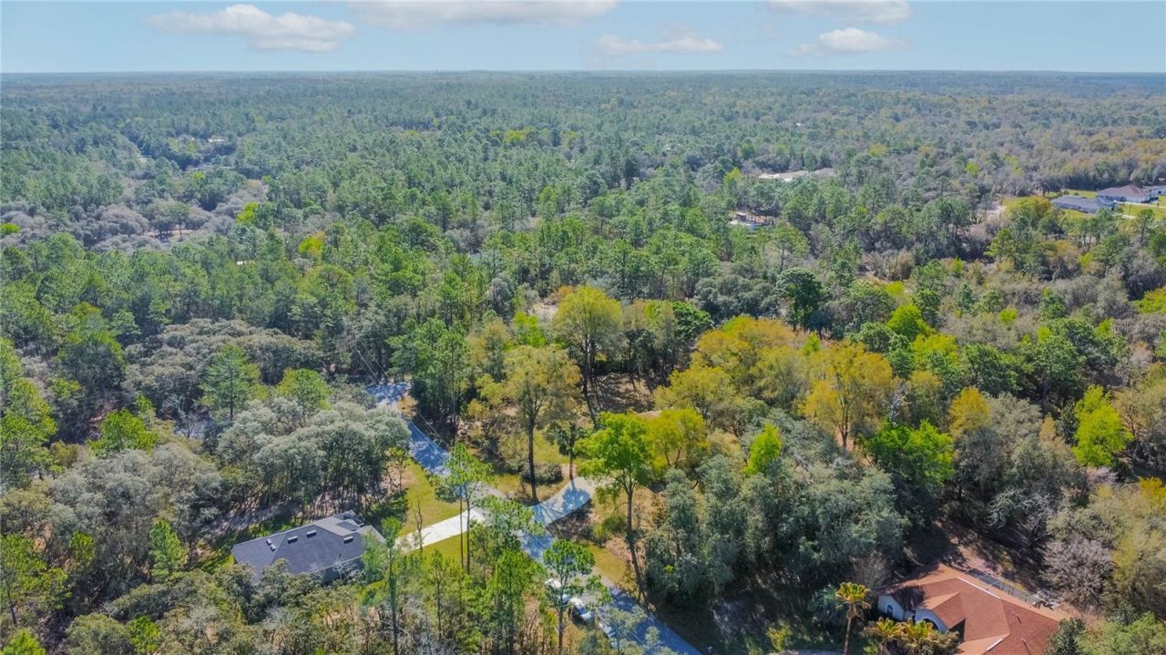 826 E Gaines Lane , Hernando, FL 34442 Photo