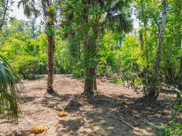 0 MUDDY WATER TRAIL, THONOTOSASSA, FL 33592