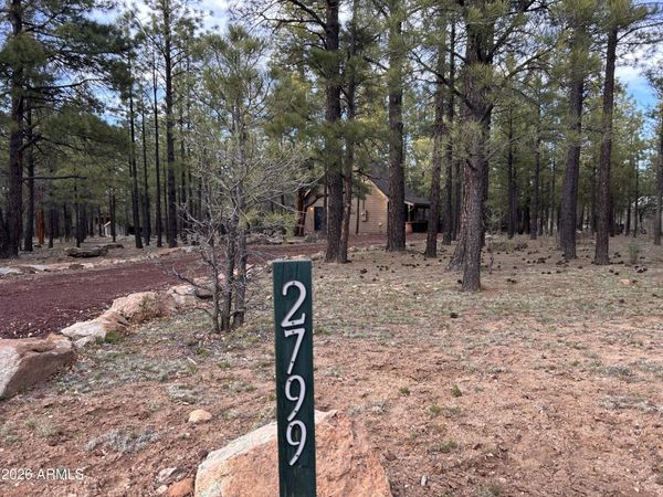 2799 APACHE Drive, Happy Jack, AZ 86024