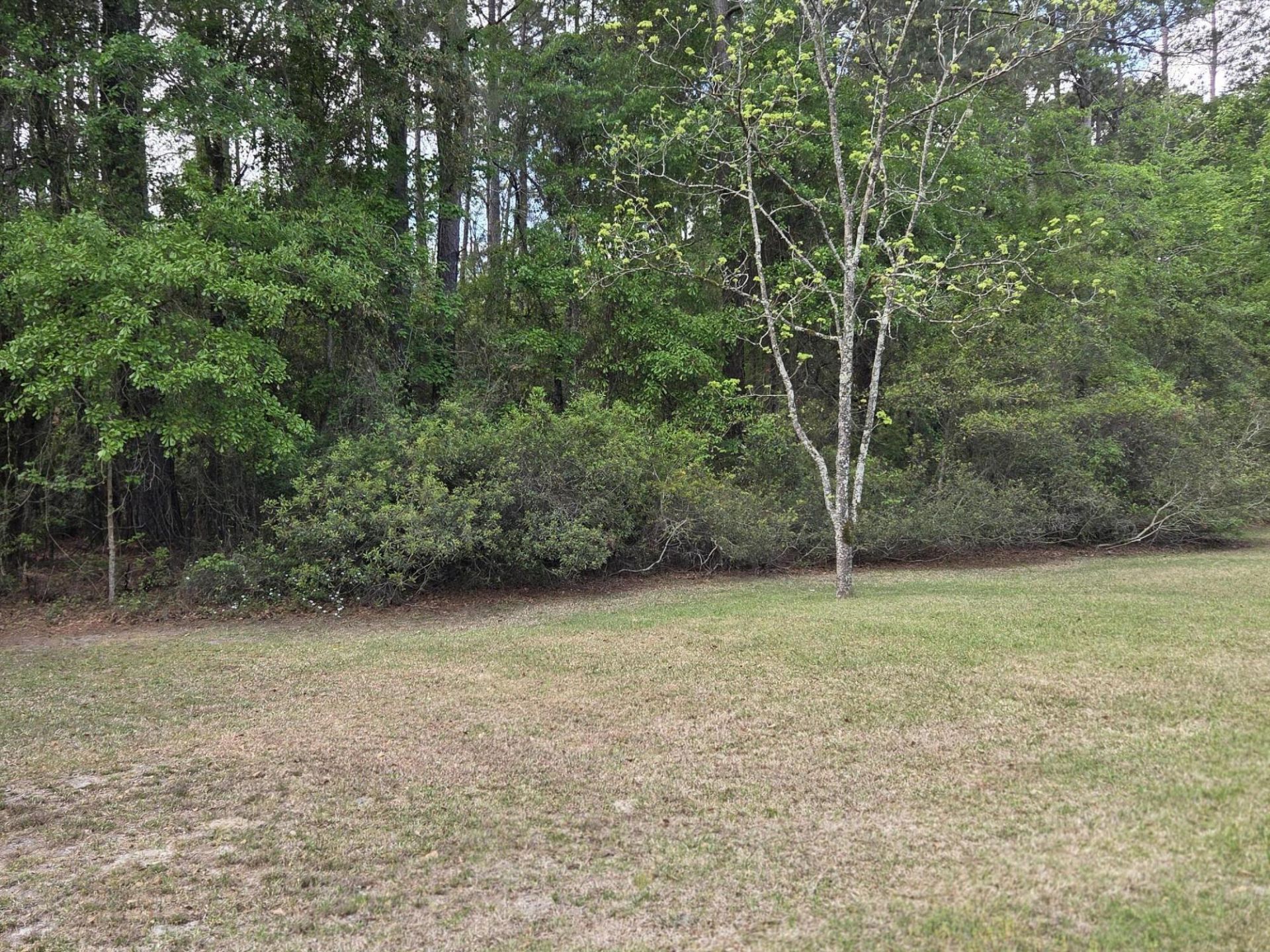 104 Jason Lane Photo 17